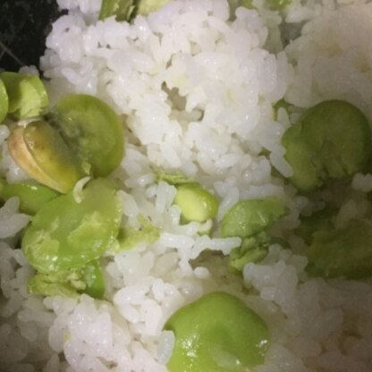 そら豆の香りがほんのりして、大粒豆で食べ応えがあって美味しかったです。
ご馳走さまでした。